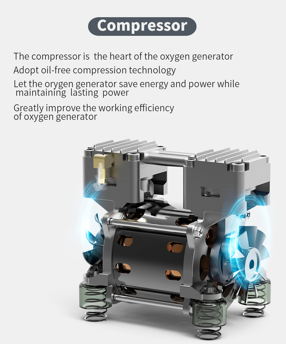 Dual Flow 10L Oxygen Concentrator Details - Guardian GA-10 Specifications